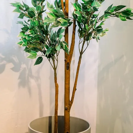 公寓 Urban Nest - Stylish In Near Gara De Nord *